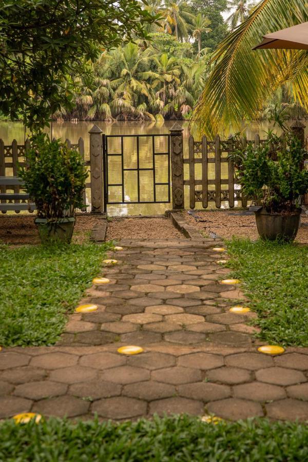 Luvi Lucas River Side Weligama Exteriör bild